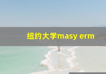 纽约大学masy erm